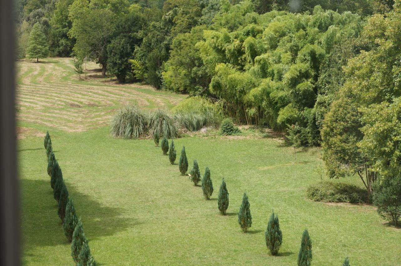 Chateau Le Parc De Mirambeau Mirambeau  Buitenkant foto