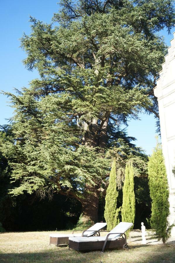 Chateau Le Parc De Mirambeau Mirambeau  Buitenkant foto